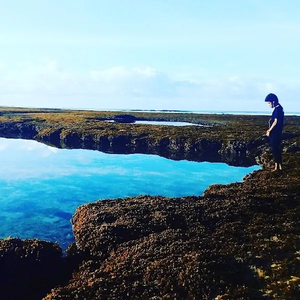 Dompu cover