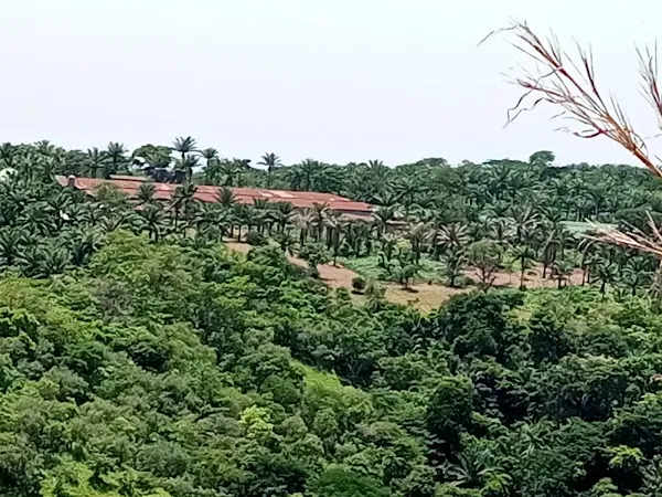 Enugu cover
