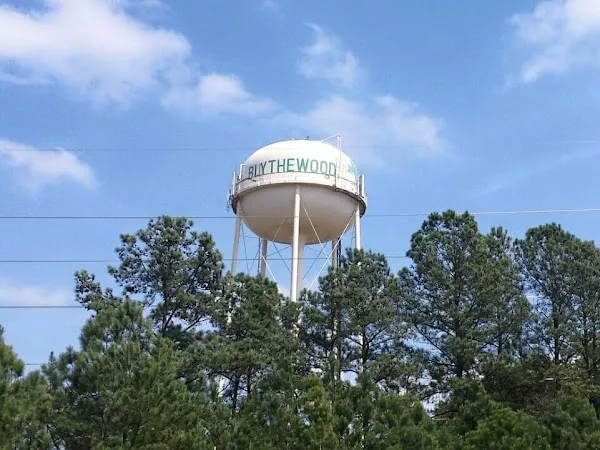 Blythewood cover