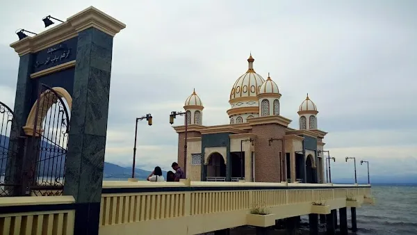 Palu cover