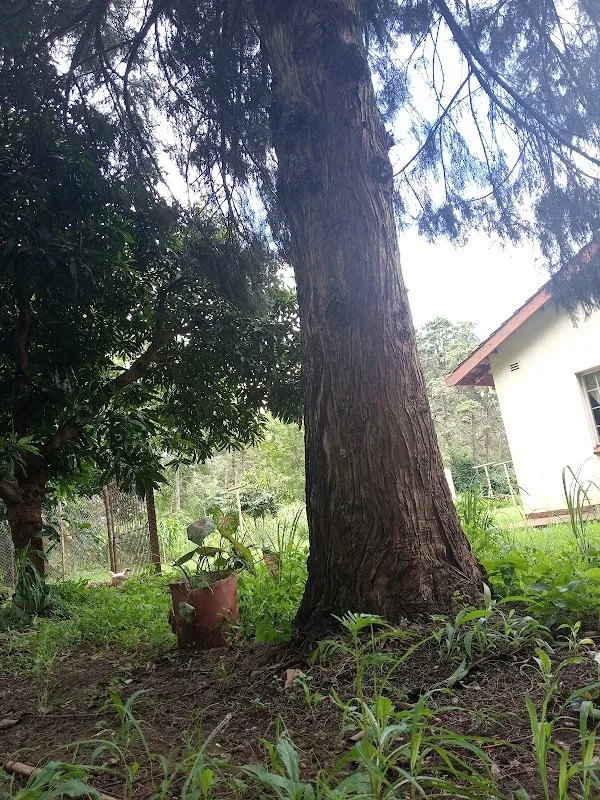 Gweru cover