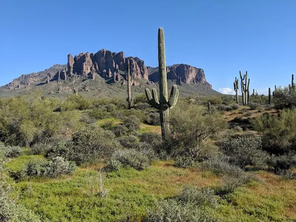 Apache Junction cover