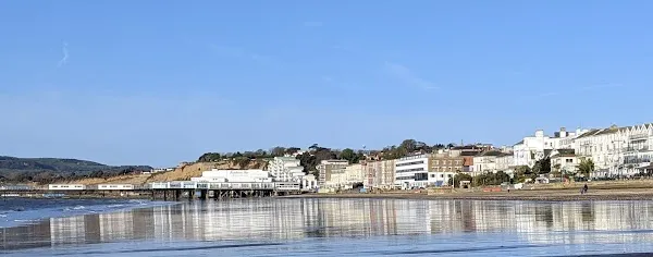 Sandown cover
