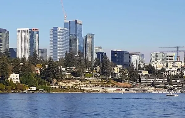 Bellevue cover