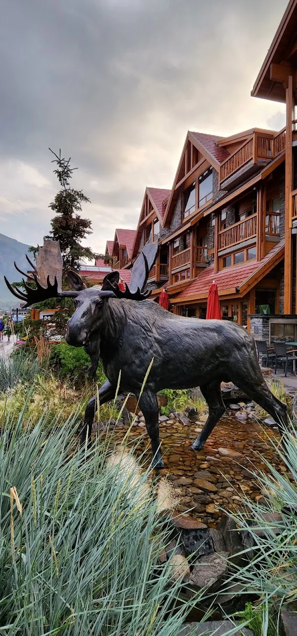 Banff cover