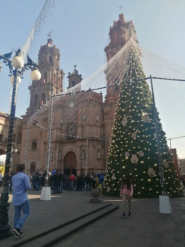 San Luis Potosí cover