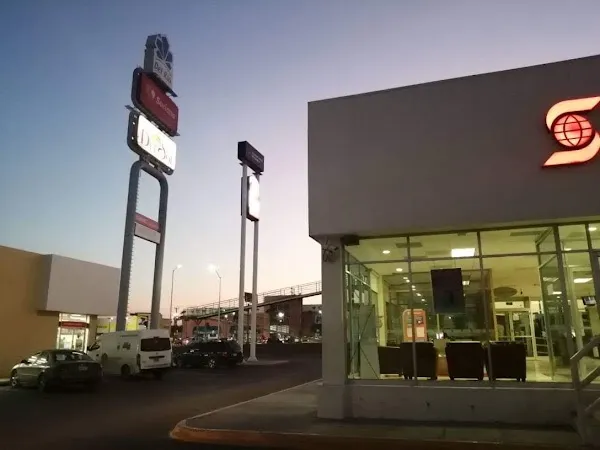 Reynosa cover