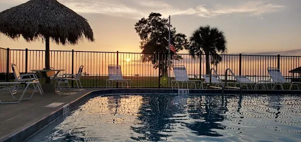 Tarpon Springs cover