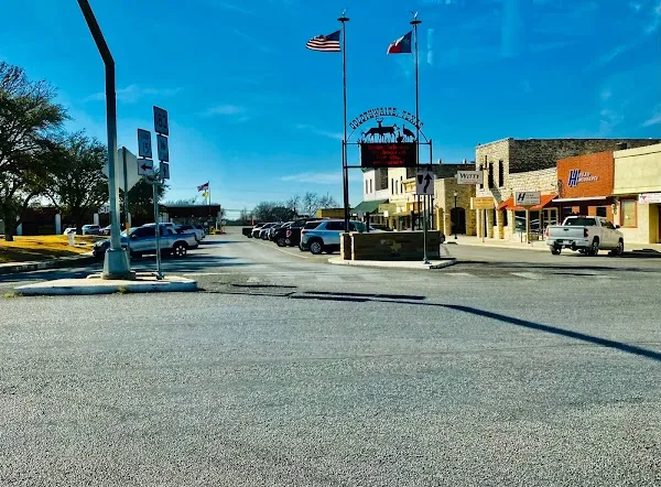 Goldthwaite cover