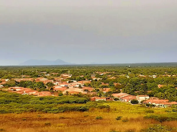 Ocara cover