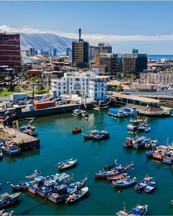 Iquique cover