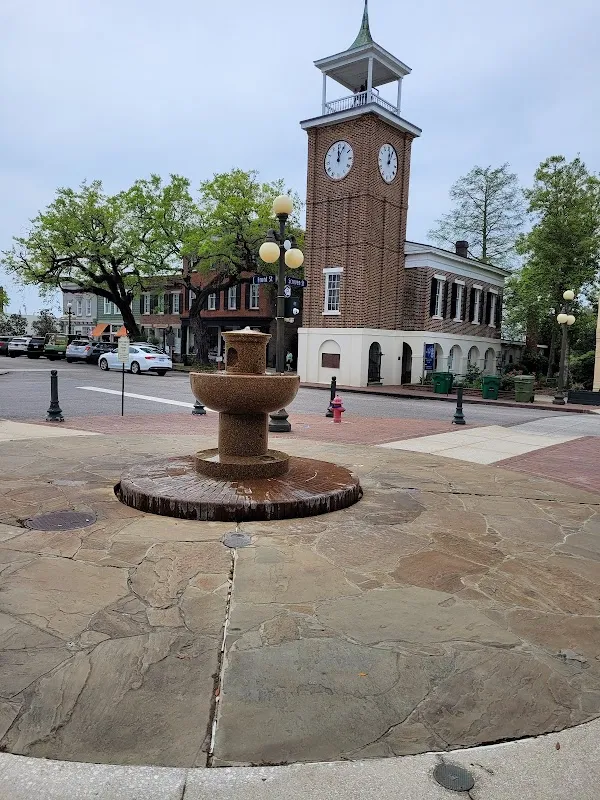 Georgetown cover