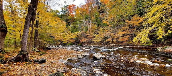 Chittenango cover