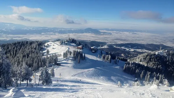 Brașov County cover