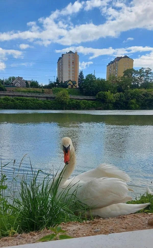Maribor City Municipality cover