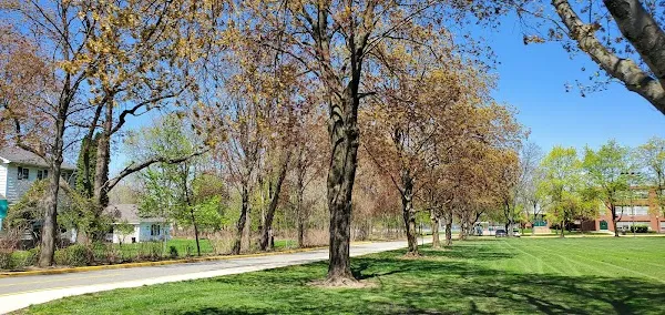 Little Falls cover
