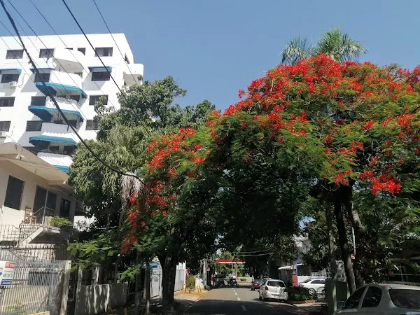 Santo Domingo cover