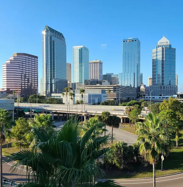 Tampa Bay cover