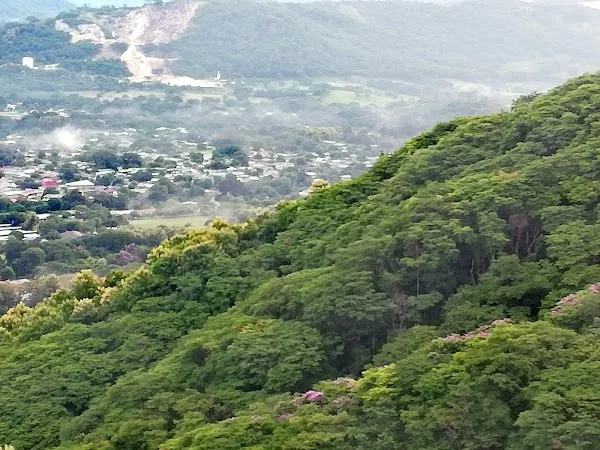 Nicoya cover