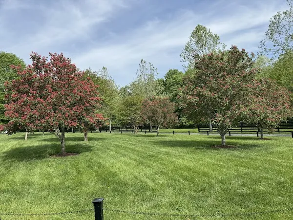 Ashton-Sandy Spring cover