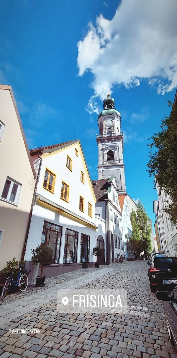Freising cover