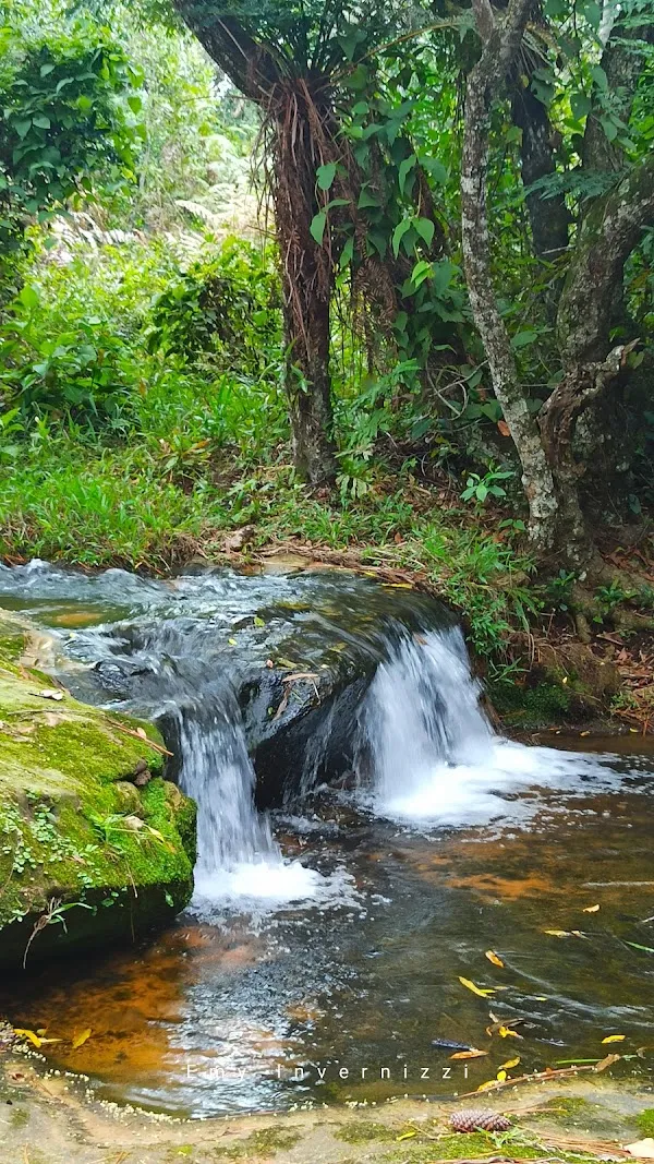 Cordillera Department cover