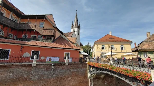 Sibiu County cover