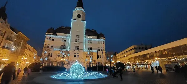 Opava cover
