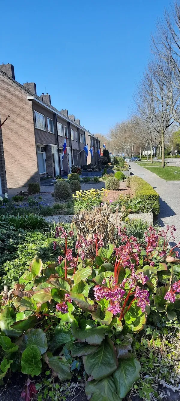 Raalte cover
