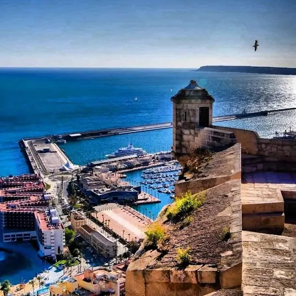 Alicante cover