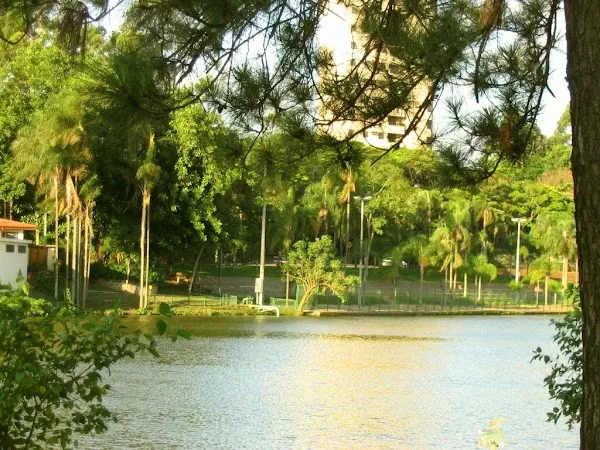 Araras cover