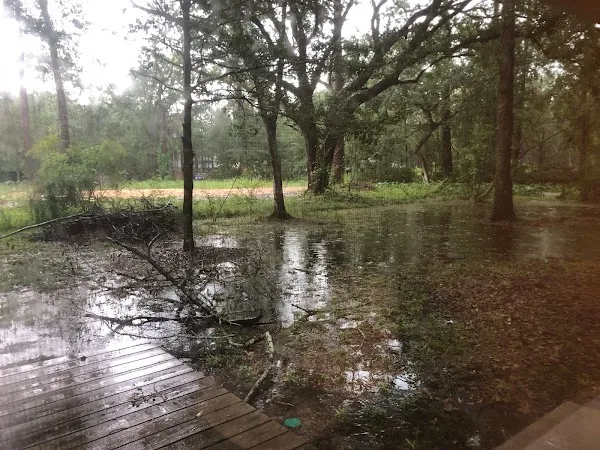 Madisonville cover