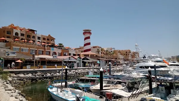 cabo San Lucas cover