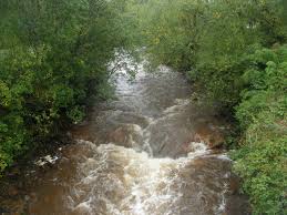 Queens River - Image 3