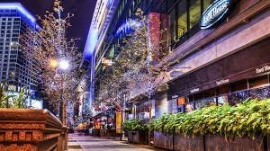 Yard House LA LIVE NCAA - Image 3