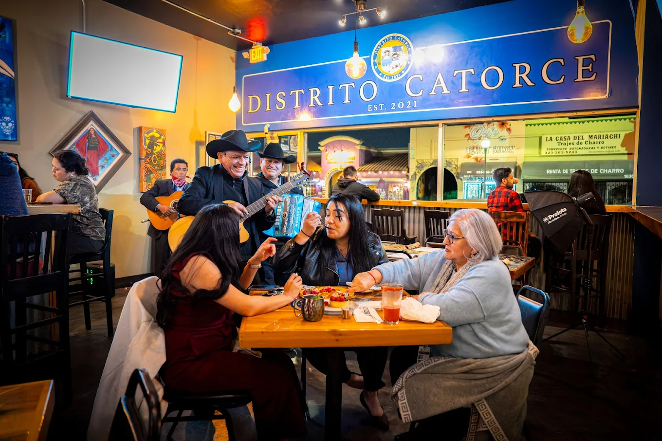 Distrito Catorce logo