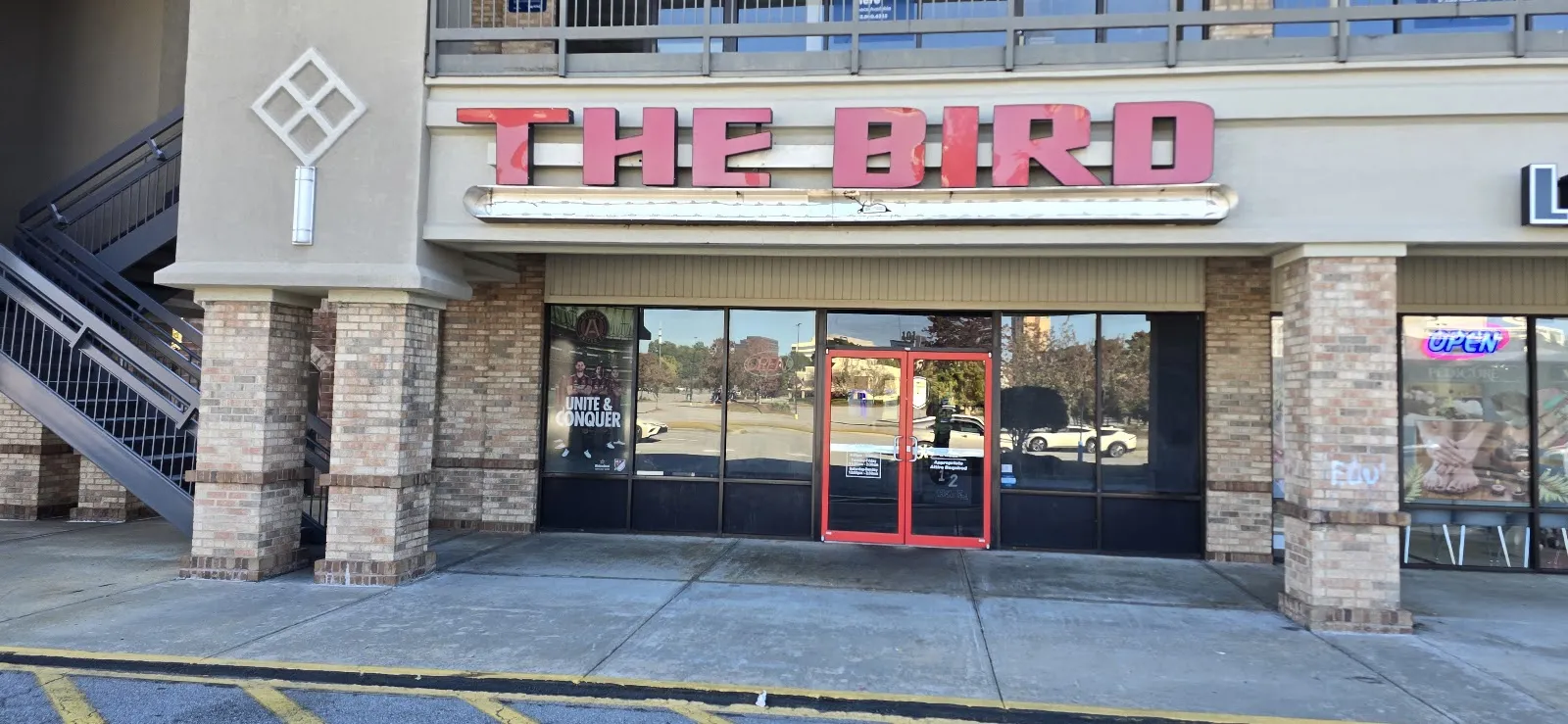 The Bird - Image 4