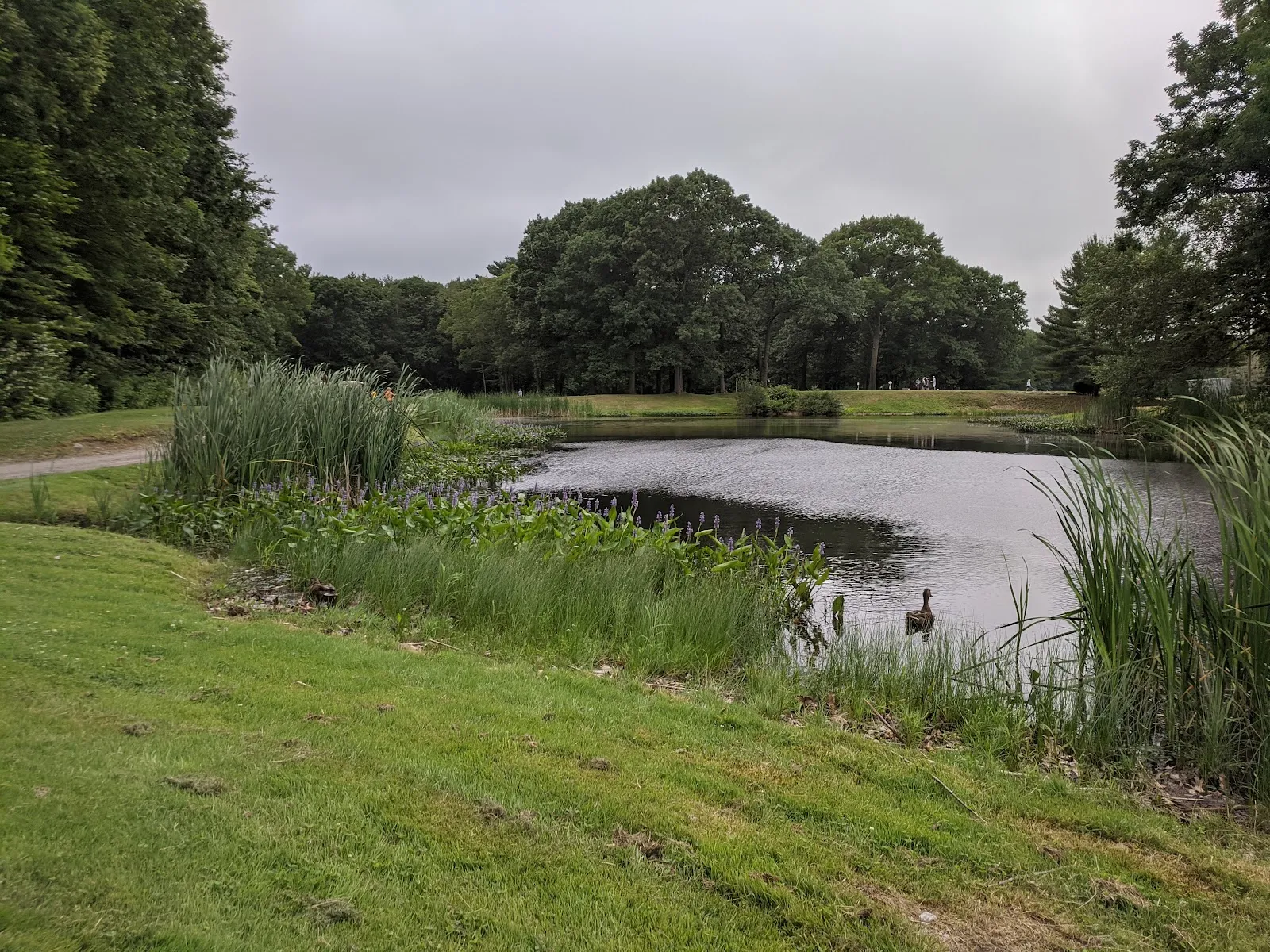 Rockland Golf Course - Image 2