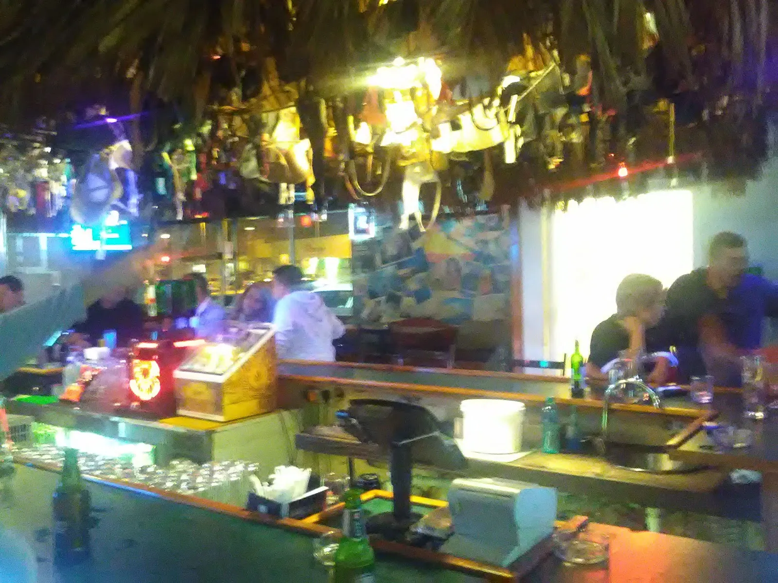 The Thursty Turtle - Image 4