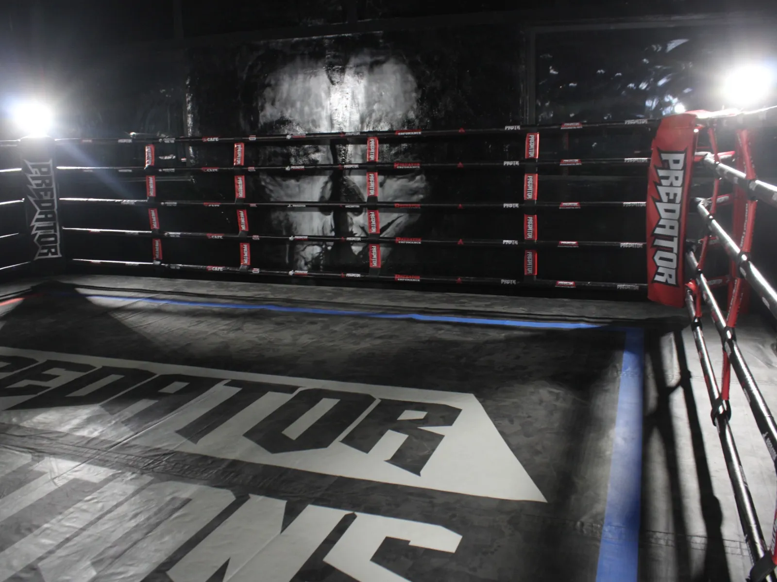 PREDATOR MMA - Image 3