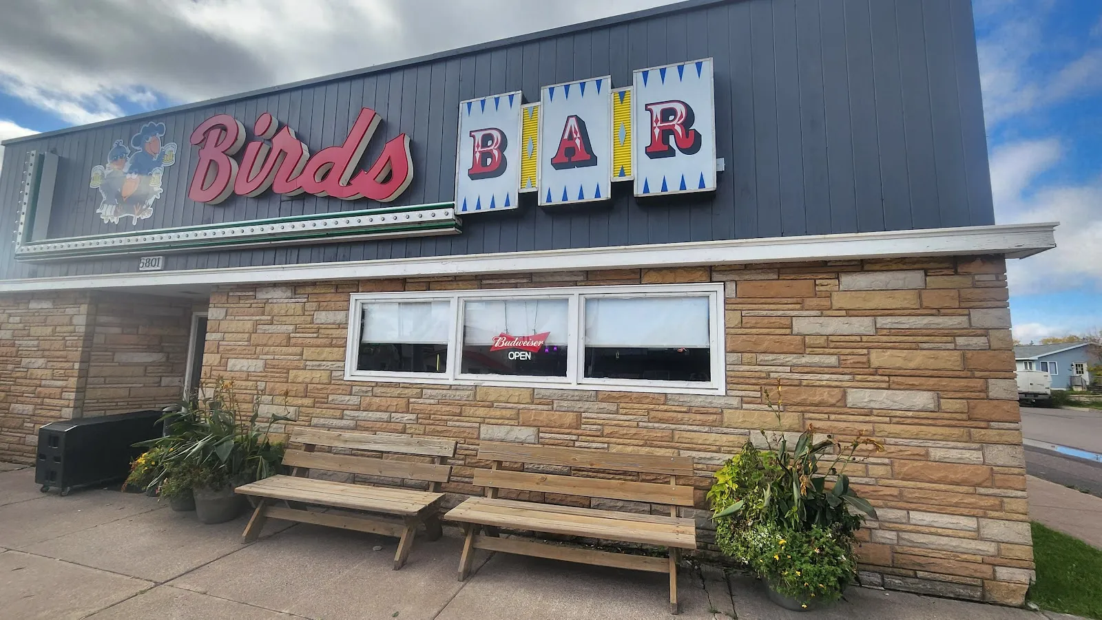Les Bird's Bar - Image 4