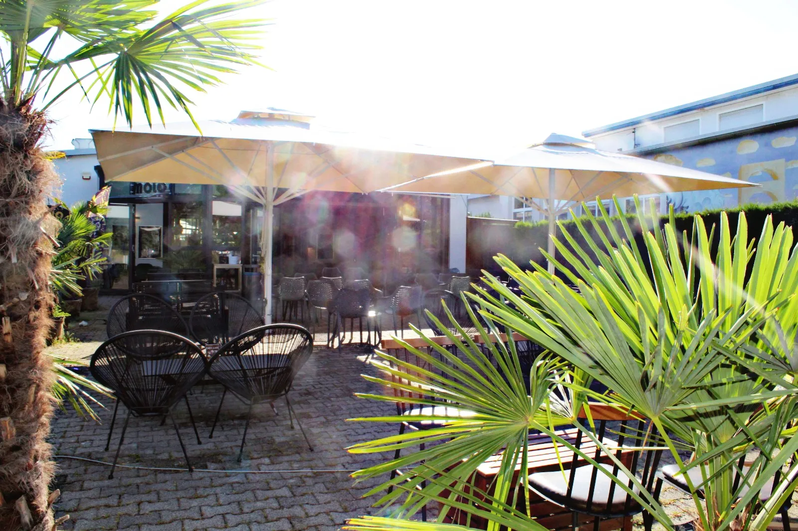 Molo - Shisha Lounge - Image 4