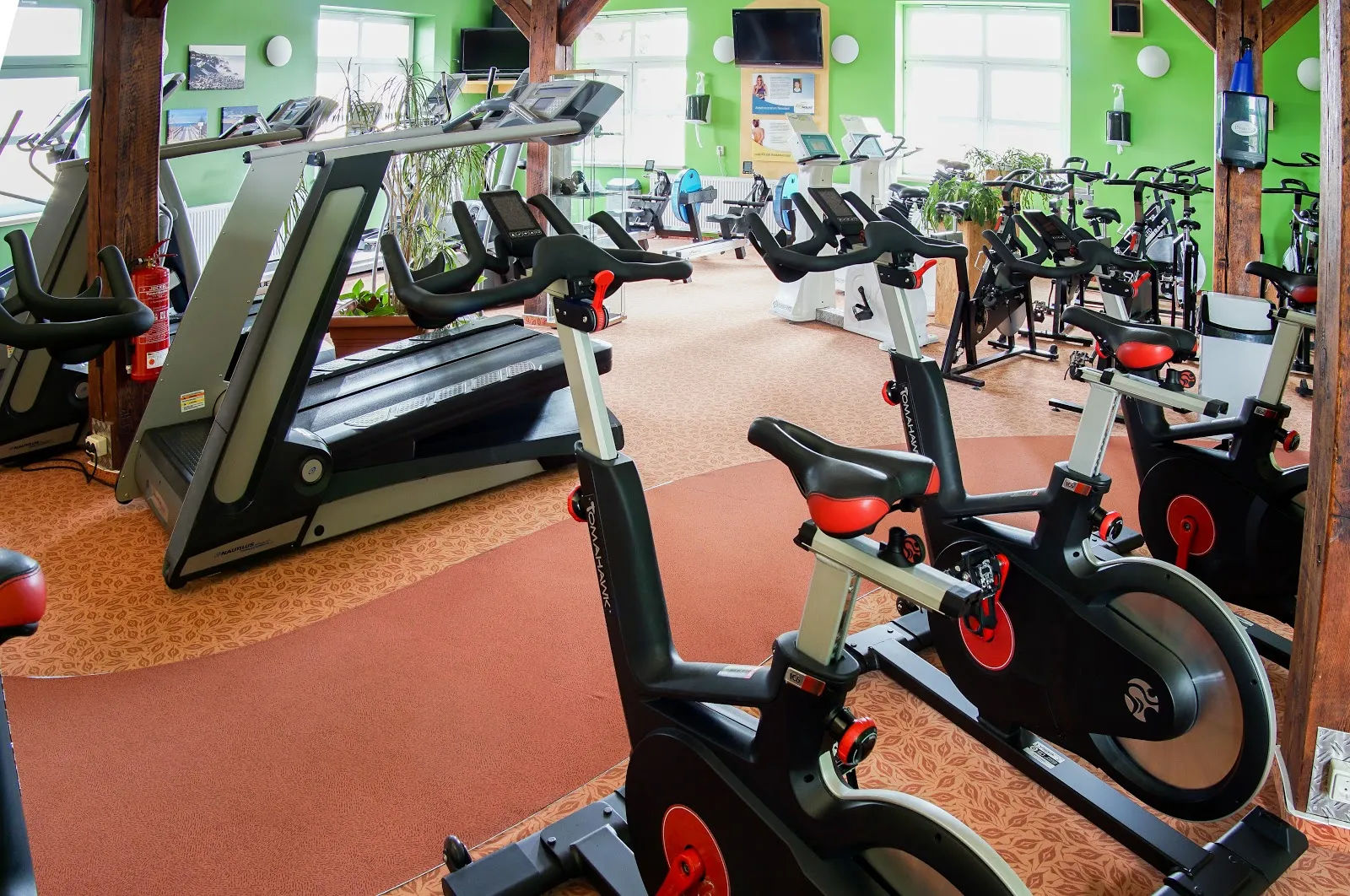 Gym body house Neustadt - Image 3