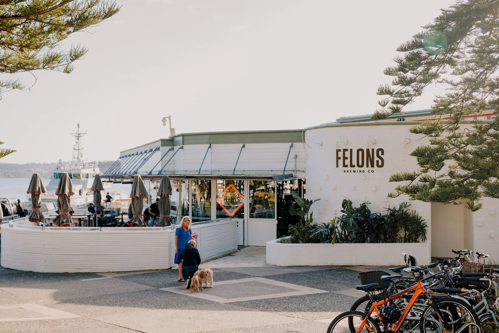 Felon's Manly - Image 2