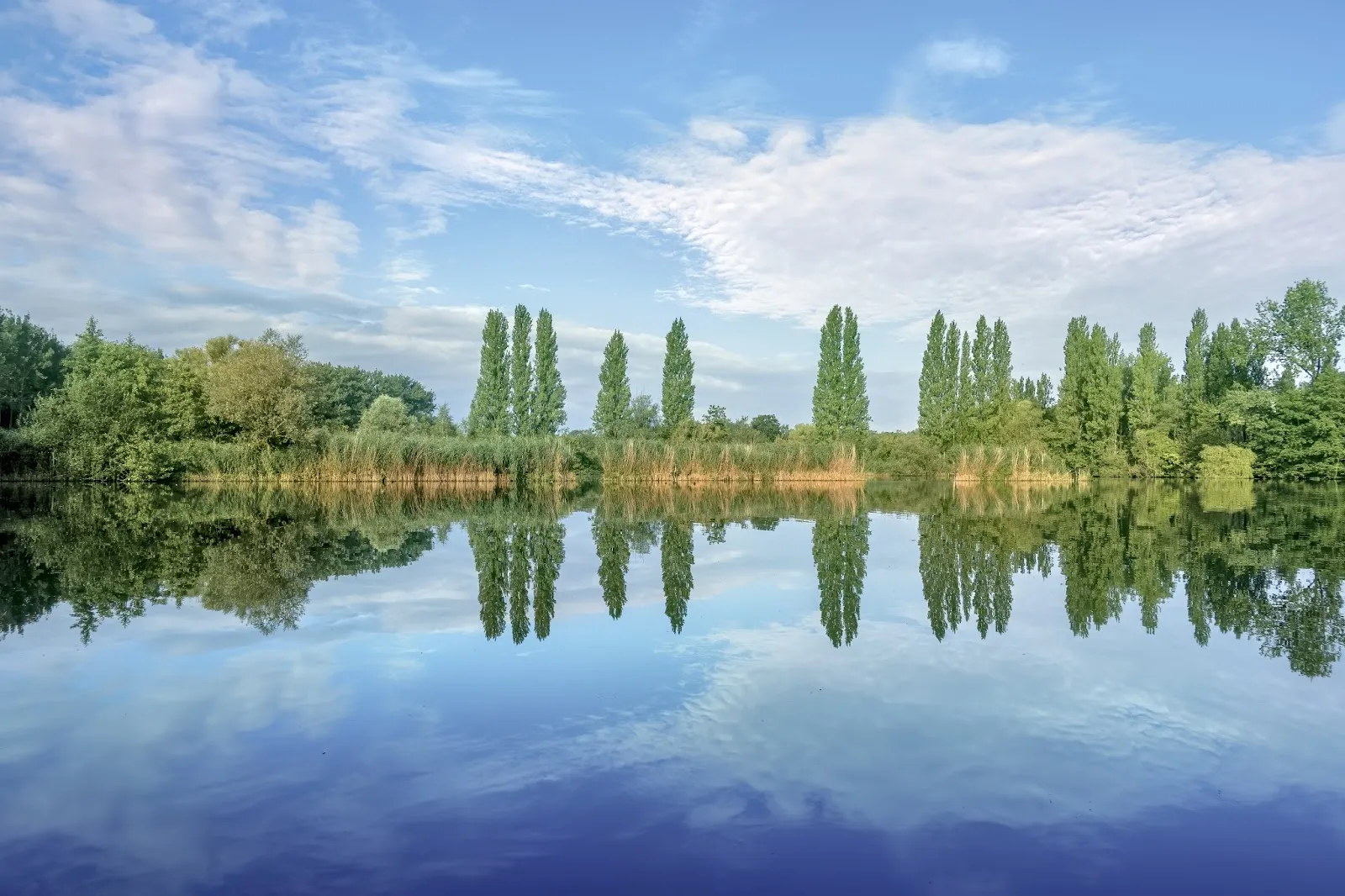 Kantine visclub 'Eskimo' - Image 3