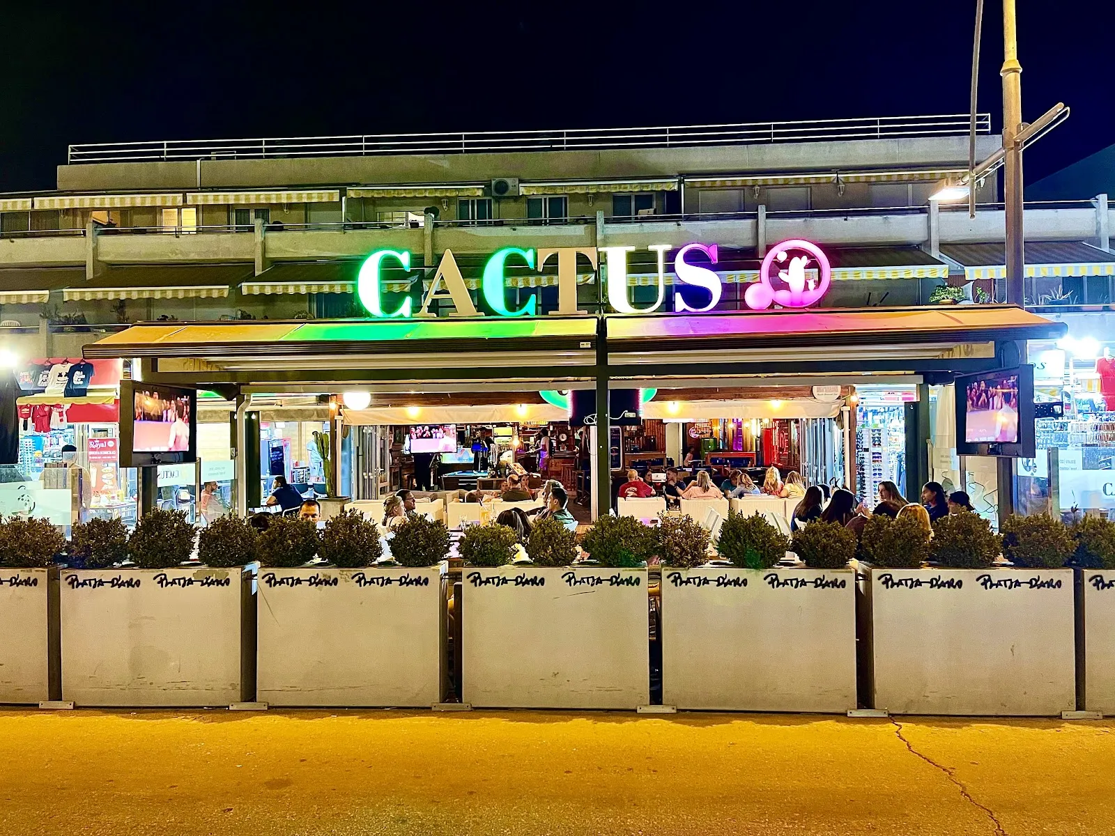 CACTUS Café - Image 2