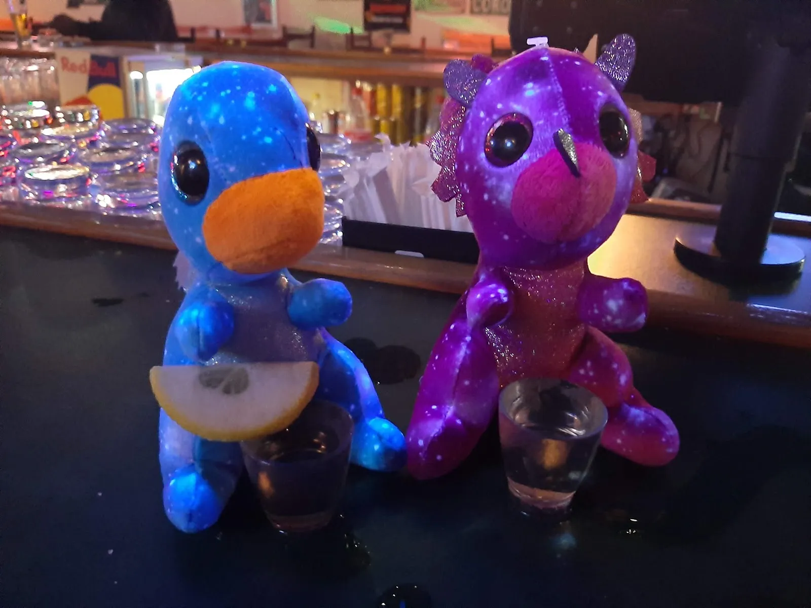 The Thursty Turtle - Image 3