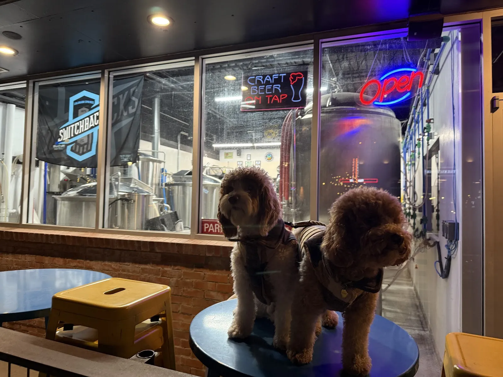 Urban Animal Beer Co Downtown - Image 3