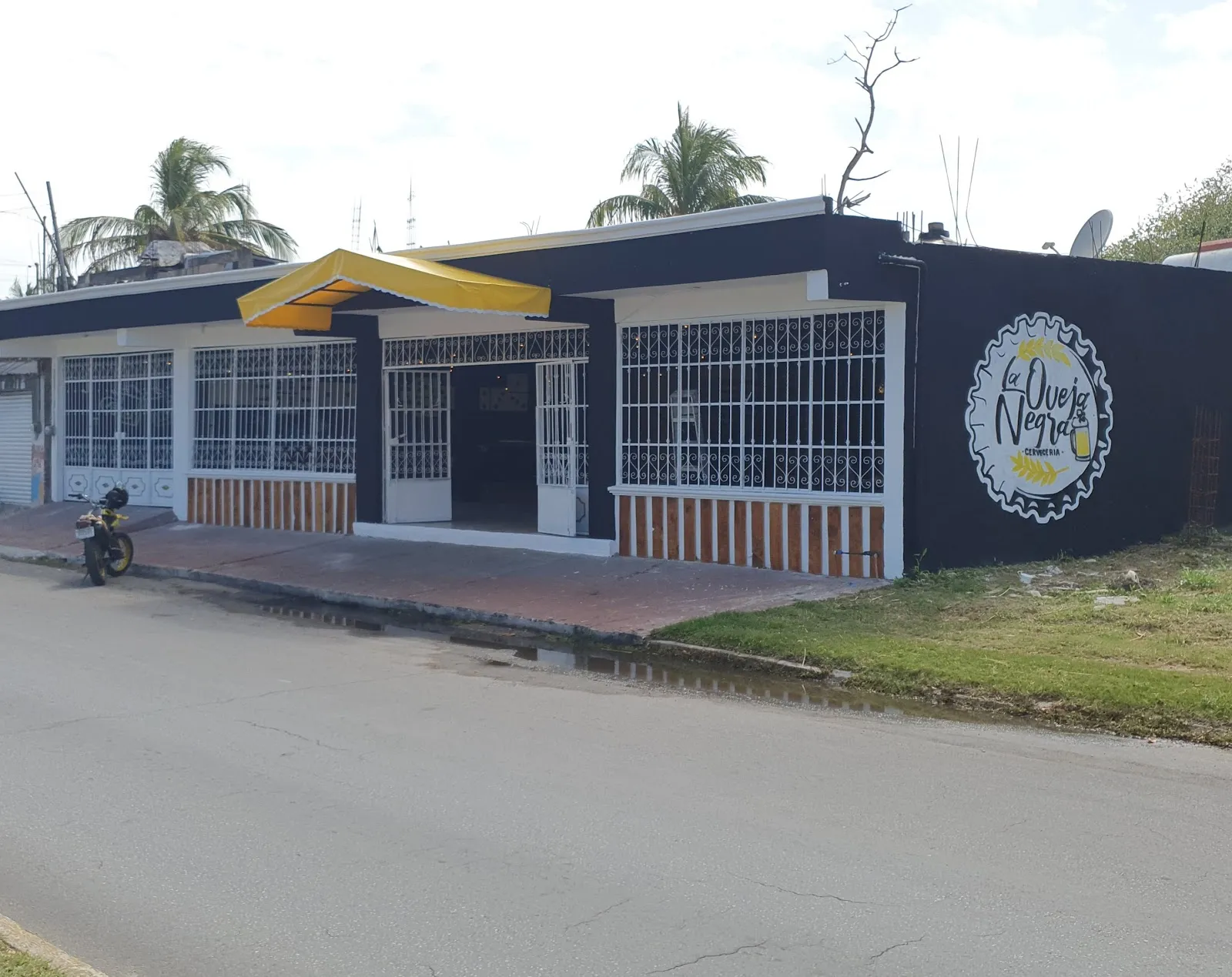 La Oveja Negra Chetumal - Image 3