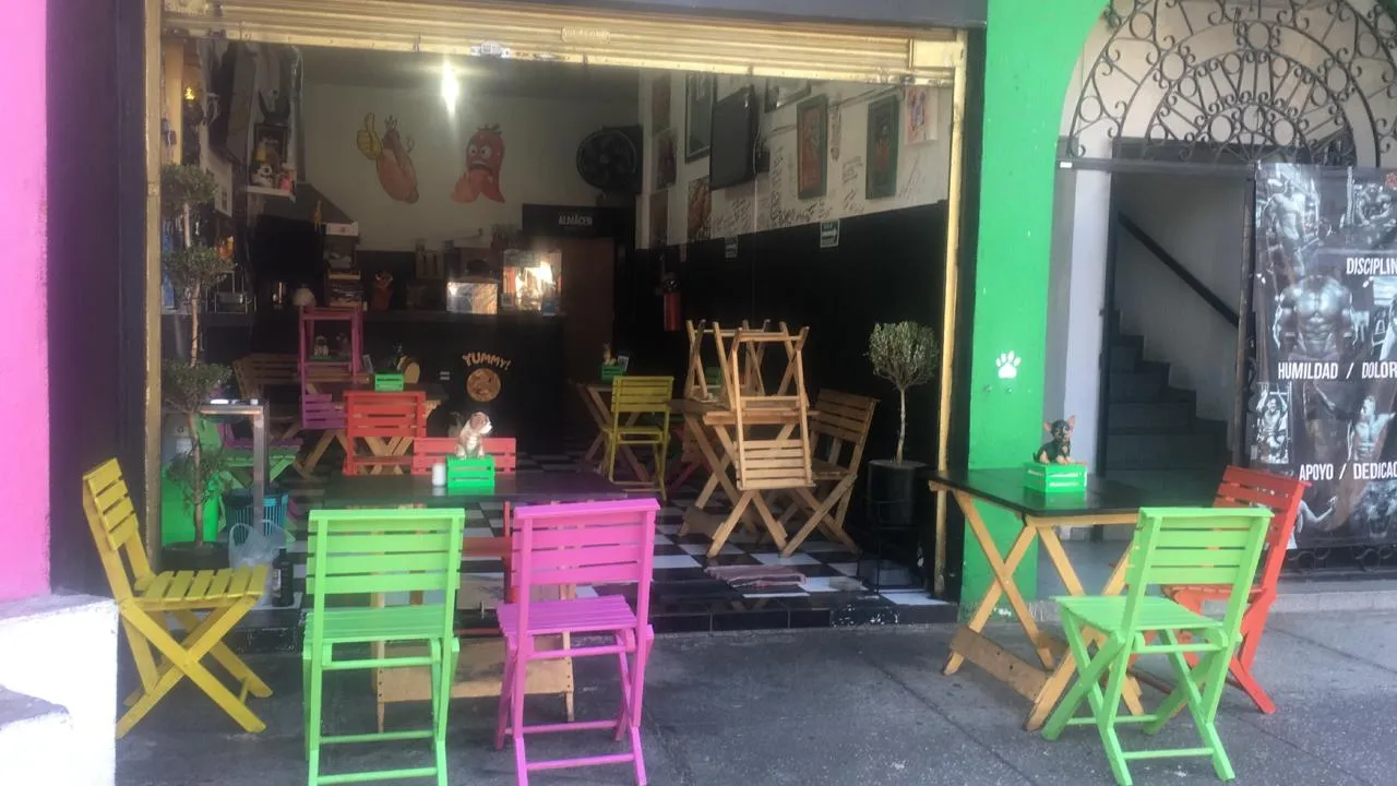 Perros Ahogados - Image 4